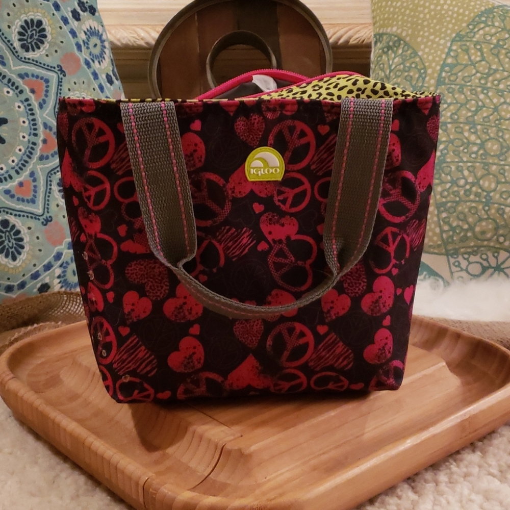 Igloo Insulated Lunch Bag for work or school
